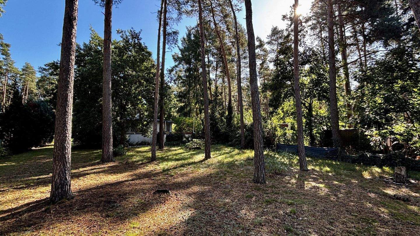 Immobilie in Zschepplin - Gestalten Sie Ihr Refugium im Grünen! - Bild 17