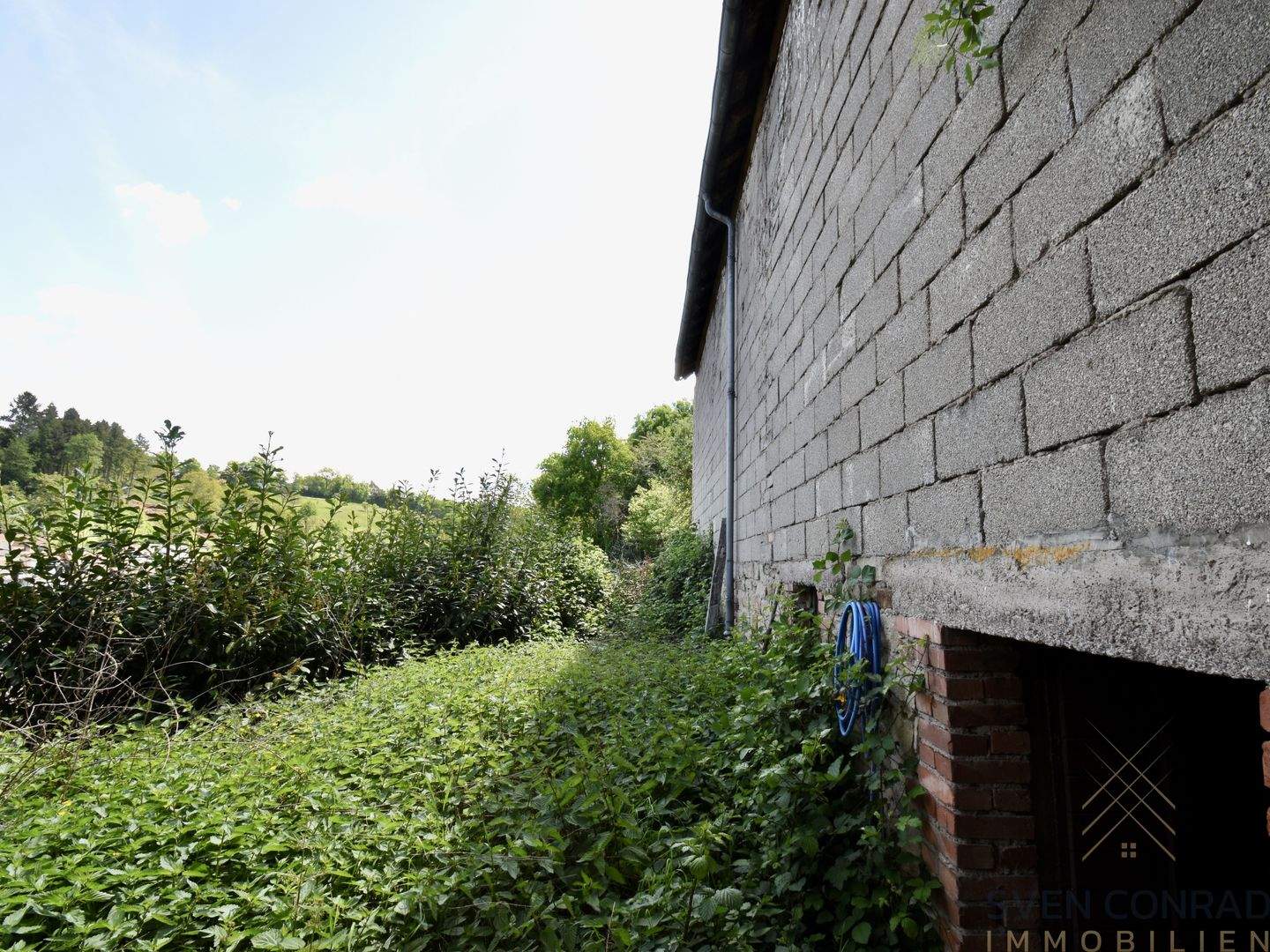 Immobilie in Offenbach-Hundheim - Saniertes Einfamilienhaus mit viel Platz in Offenbach-Hundheim! - Bild 3