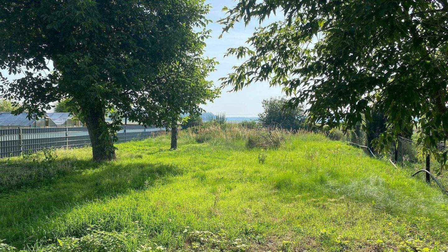 Immobilie in Beilrode - Kleines Haus in ruhiger Lage - Bild 4