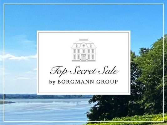 Borgmann Group Top Secret Sale