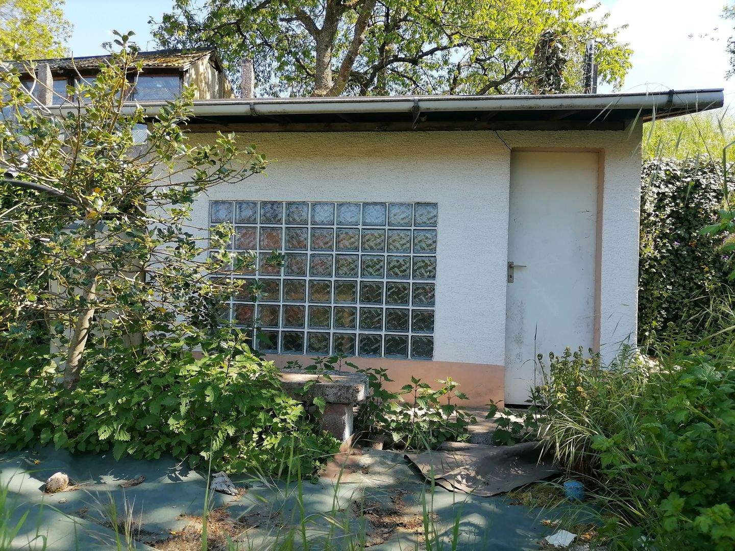 Immobilie in Hochspeyer - MEHRGENERATIONENHAUS oder HAUS mit 3 WOHNUNGEN - Bild 2