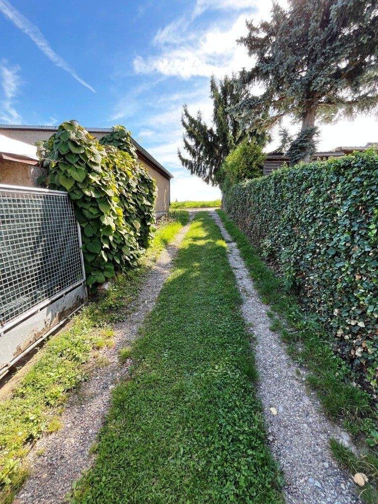 Immobilie in Apolda - geräumige Doppelhaushälfte mit großem Grundstück frei ab Oktober - Bild 15