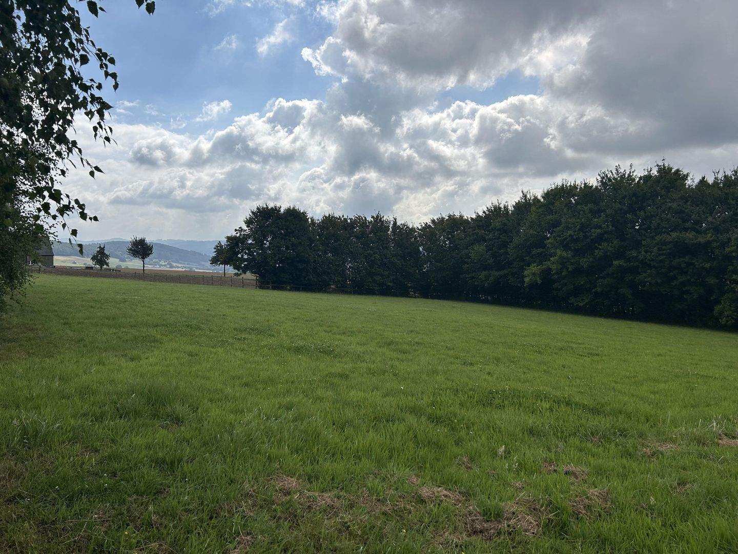 Immobilie in Preußisch Oldendorf - Schönes Landhaus! Großzügiges Anwesen für Tier- und Pferdehaltung! - Bild 33