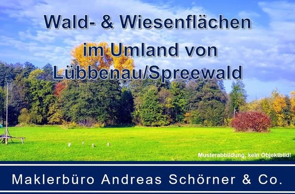 Titel Wald-u-Wiesen im Spreewald