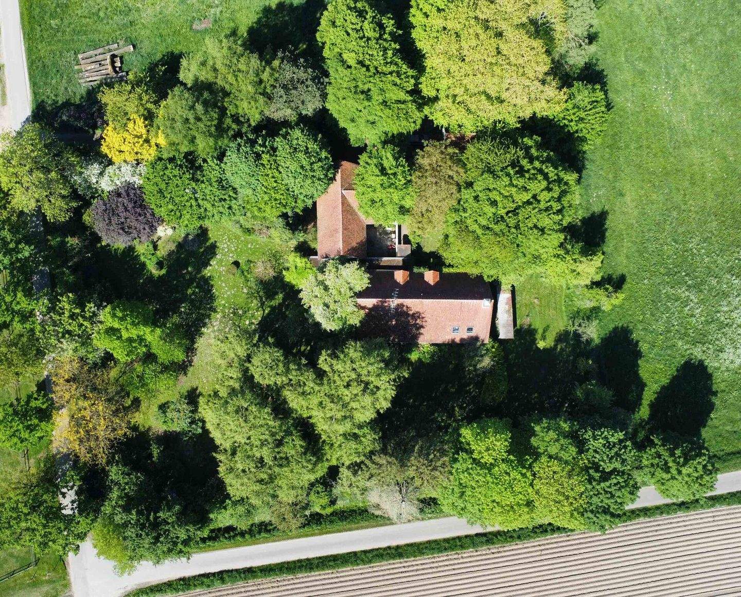 Immobilie in Bersenbrück - Geschichte & Natur - Erholung pur! - Bild 25