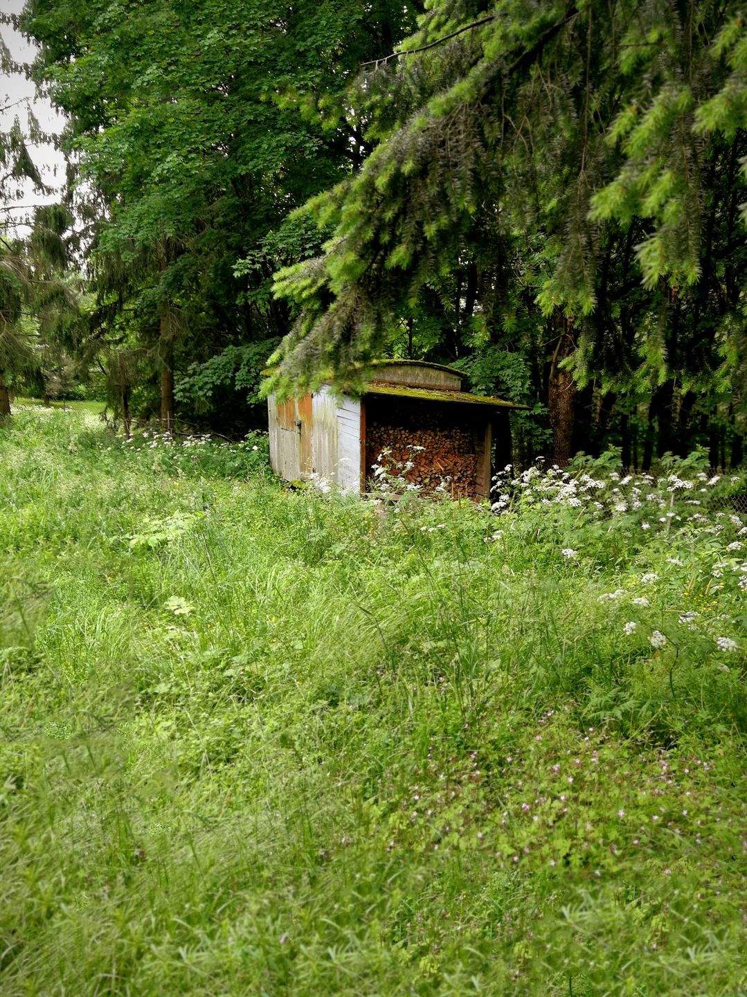 Immobilie in Suhl - Wohnen inmitten der Ski- und Wanderregion Suhl-Goldauter - Ihre Bauideen sind realisierbar - Bild 12