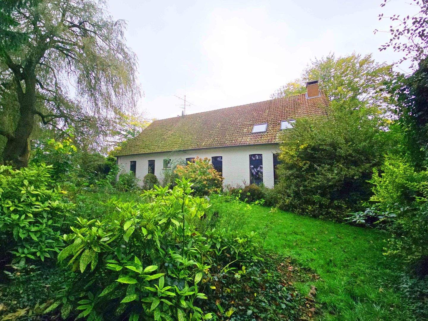 Immobilie in Bersenbrück - Geschichte & Natur - Erholung pur! - Bild 1