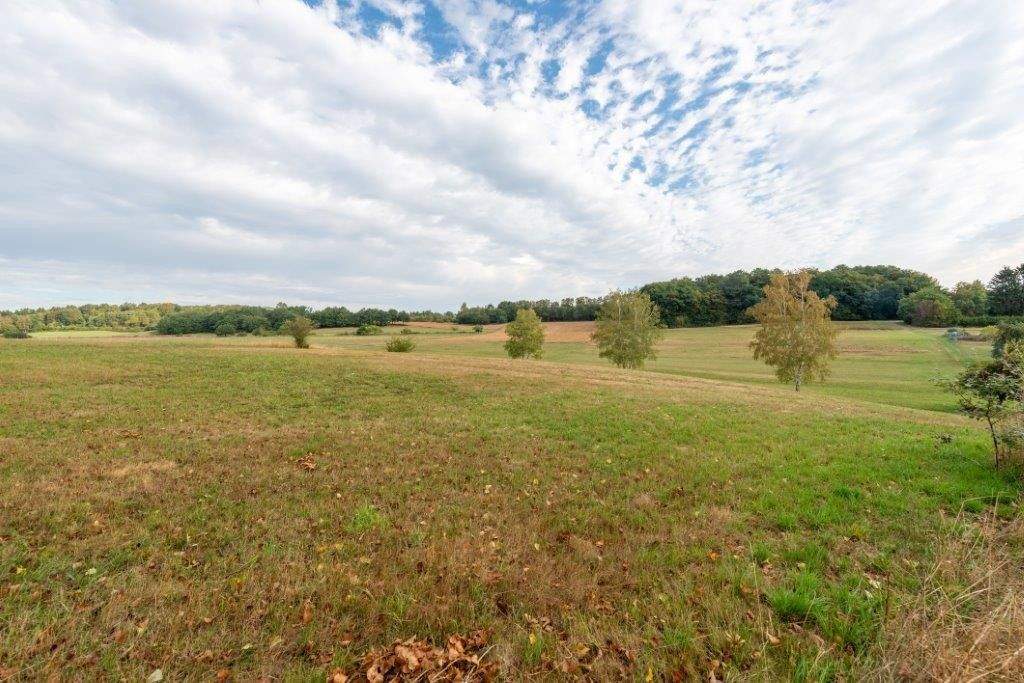 Immobilie in Losheim am See - Die Schachenstraße 14 in Losheim am See kann zum 3-Familienhaus für Sanierer und Pferdefans werden - Bild 5