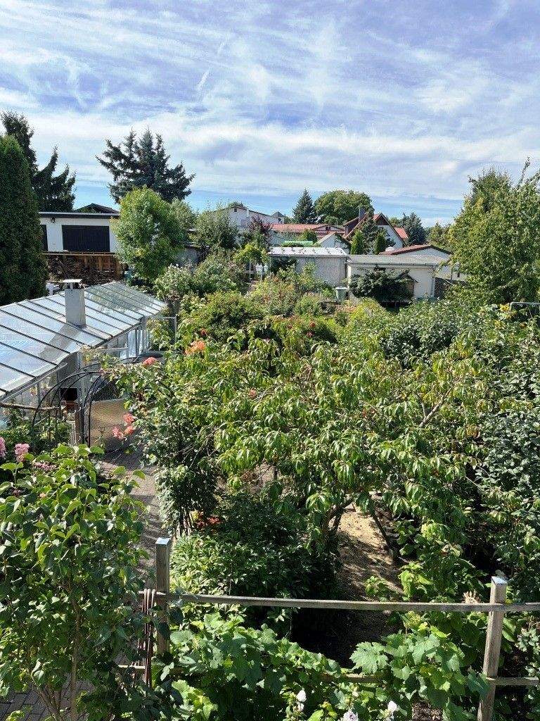 Immobilie in Apolda - geräumige Doppelhaushälfte mit großem Grundstück frei ab Oktober - Bild 1