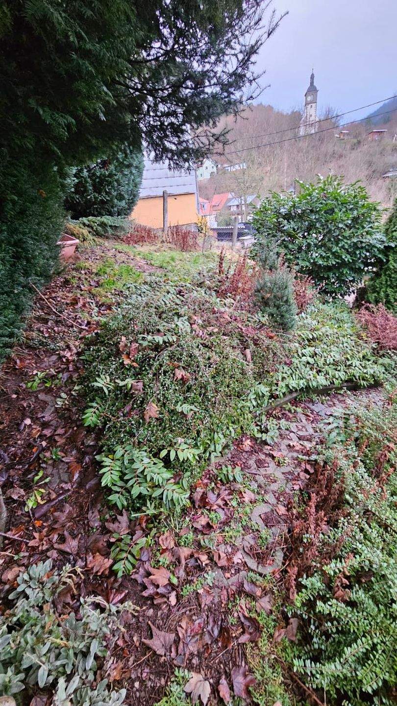 Immobilie in Frankenblick - Liebevoll gestaltete Doppelhaushälfte mit Einliegerwohnung in der Gemeinde Frankenblick OT Rauenstein - Bild 20