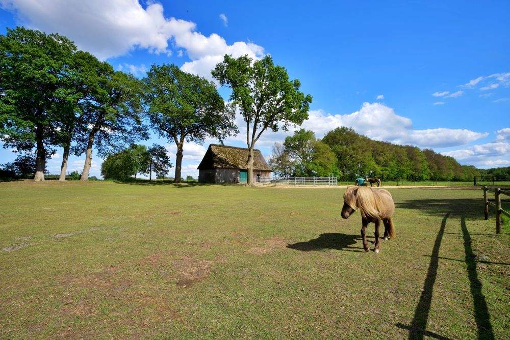 Immobilie in Deinstedt - Anwesen mit positivem Bauvorbescheid - Gewerbe, Wohnen & Tierhaltung in Kombination möglich - Bild 11