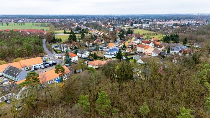 Auswahl - Grundstück in Blankenfelde Mahlow-5