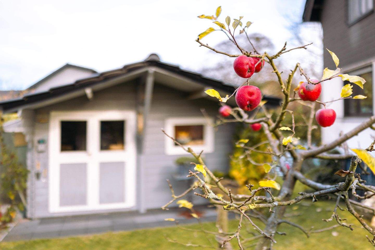 Immobilie in Anhausen - ! Außergewöhnliches Haus mit traumhaftem Garten ! - Bild 8