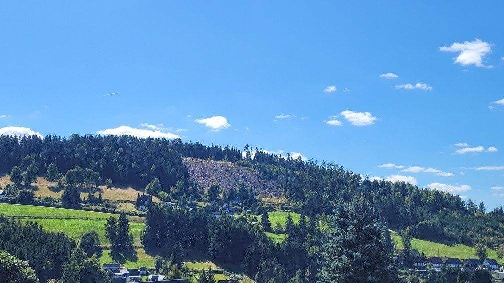 Immobilie in Klingenthal - Modernes Familienhaus mit großem Garten - Bild 34