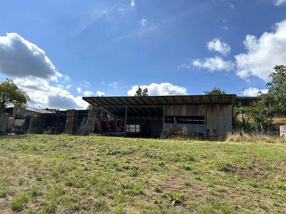 Immobilie in Altrich - zwei Wohnhäuser und rd. 20.000 qm Land direkt am Haus (Nähe zur Stadt Wittlich 5 km) - Bild 25