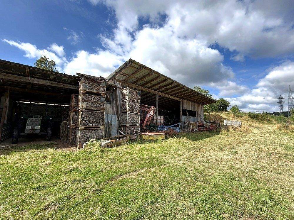 Immobilie in Altrich - zwei Wohnhäuser und rd. 20.000 qm Land direkt am Haus (Nähe zur Stadt Wittlich 5 km) - Bild 22