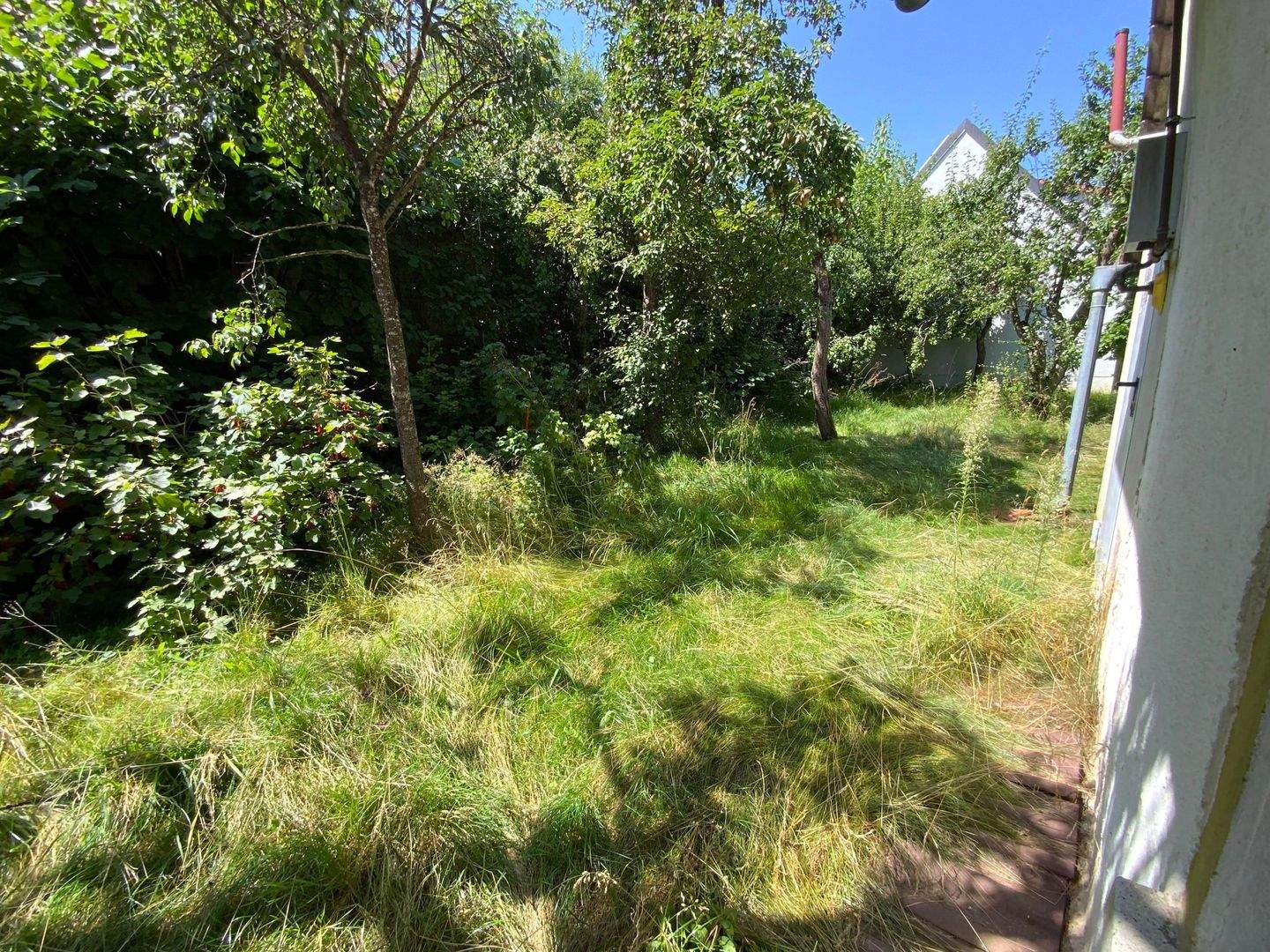 Immobilie in Meinheim - Ehemalige Hofstelle - viel Platz für Ihre Ideen! - Bild 23