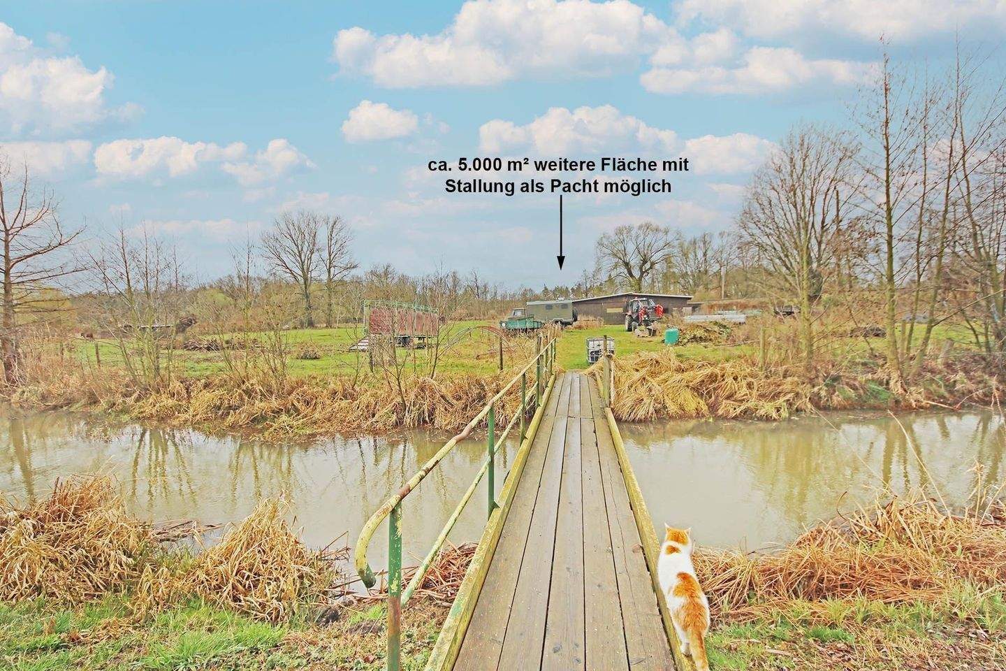 Immobilie in Jessen (Elster) - Mehrfamilienhaus mit 3 Wohnungen und großem Werkstattgebäude in Jessen (Elster) OT Holzdorf - Bild 16