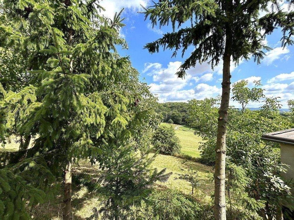 Immobilie in Altrich - zwei Wohnhäuser und rd. 20.000 qm Land direkt am Haus (Nähe zur Stadt Wittlich 5 km) - Bild 5