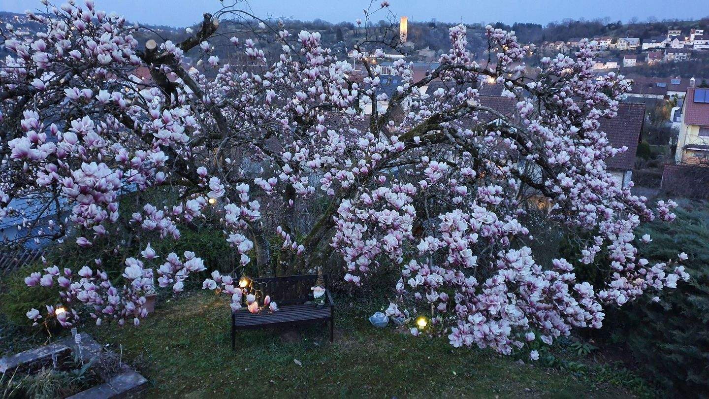 Immobilie in Herbolzheim - Provisionsfrei, 1-2 Familienhaus mit Weitblick und großem Garten - Bild 22