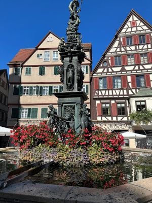 Brunnen in Tübingen.JPG