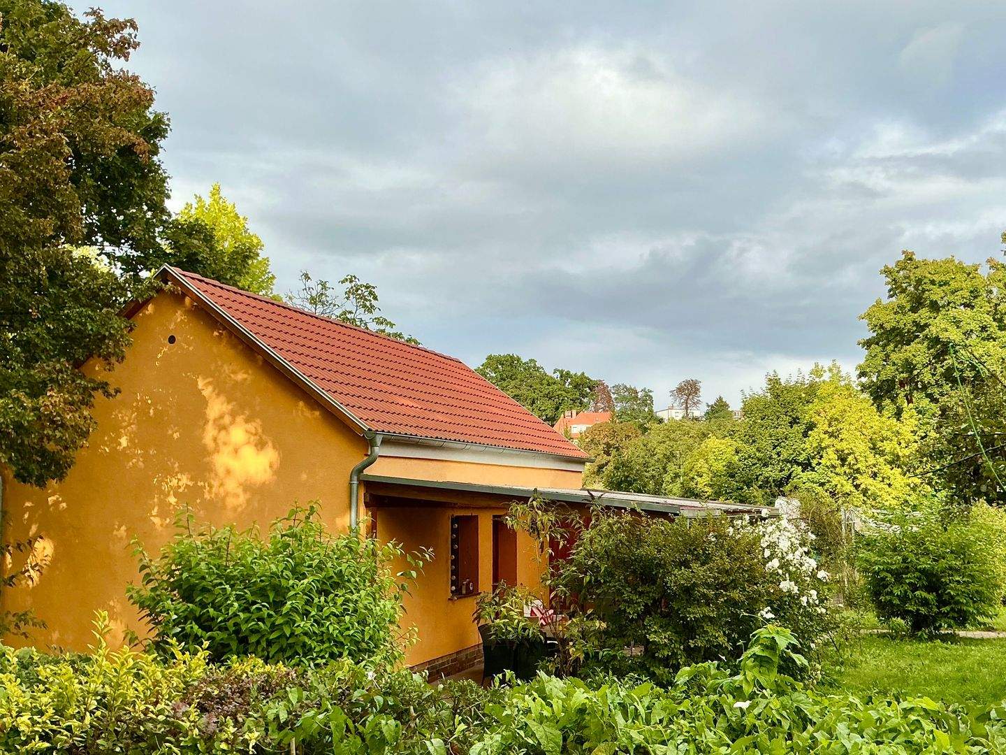 Immobilie in Guben - Villa mit 3 Wohneinheiten auf der Sonnenseite Gubens - Bild 9