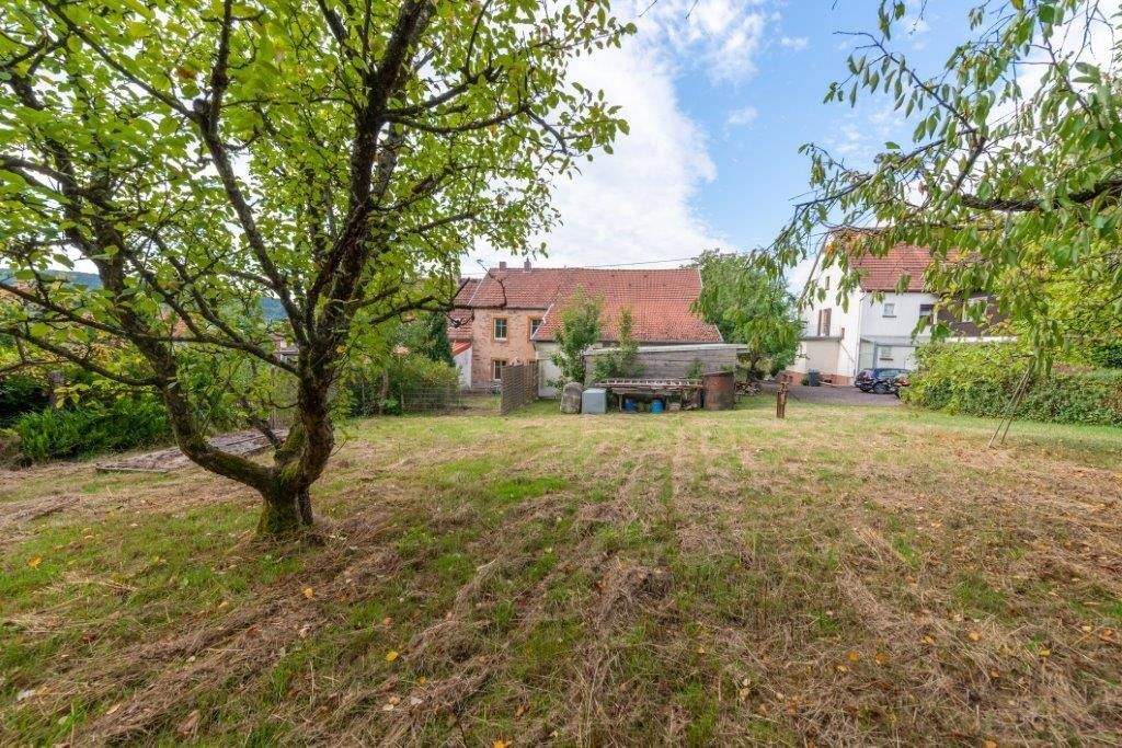 Immobilie in Losheim am See - 9.600 Quadratmeter lassen in Losheim an der Schachenstraße 12 und 14  Pferde wiehern - Bild 12