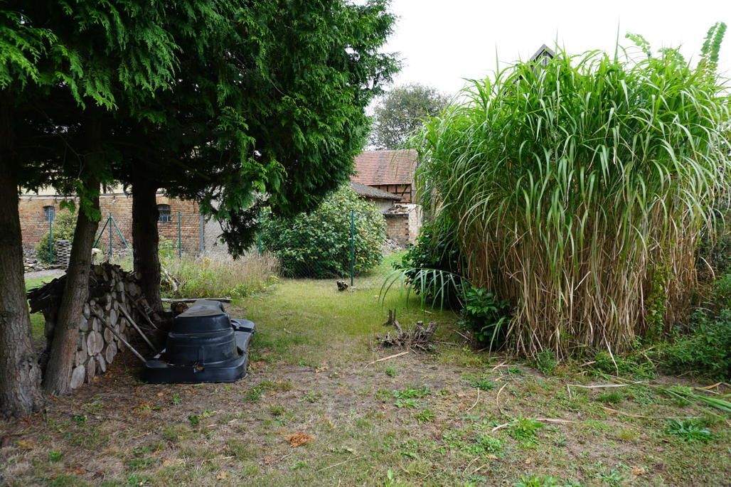 Immobilie in Dreetz - Attraktives Haus im Grünen - Topzustand - Bild 5