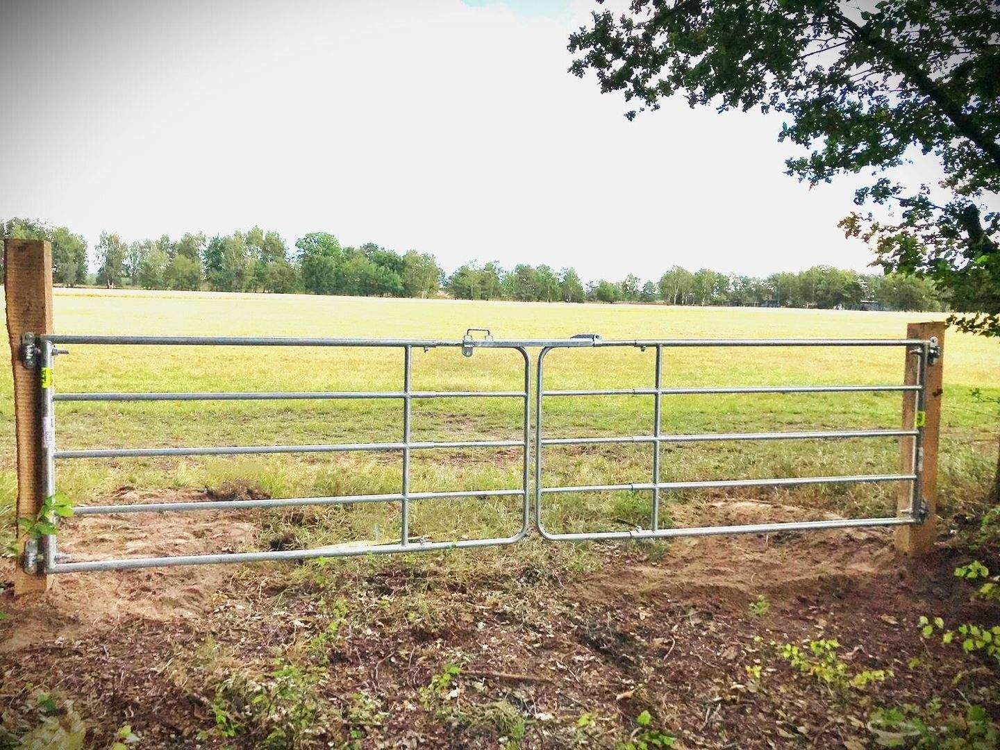 Immobilie in Trebel - "Landleben deluxe im Wendland"- Historische Hofstelle an der Nemitzer Heide" - Bild 1