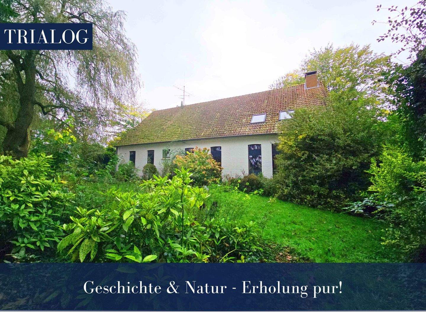 Immobilie in Bersenbrück - Geschichte & Natur - Erholung pur! - Bild 0