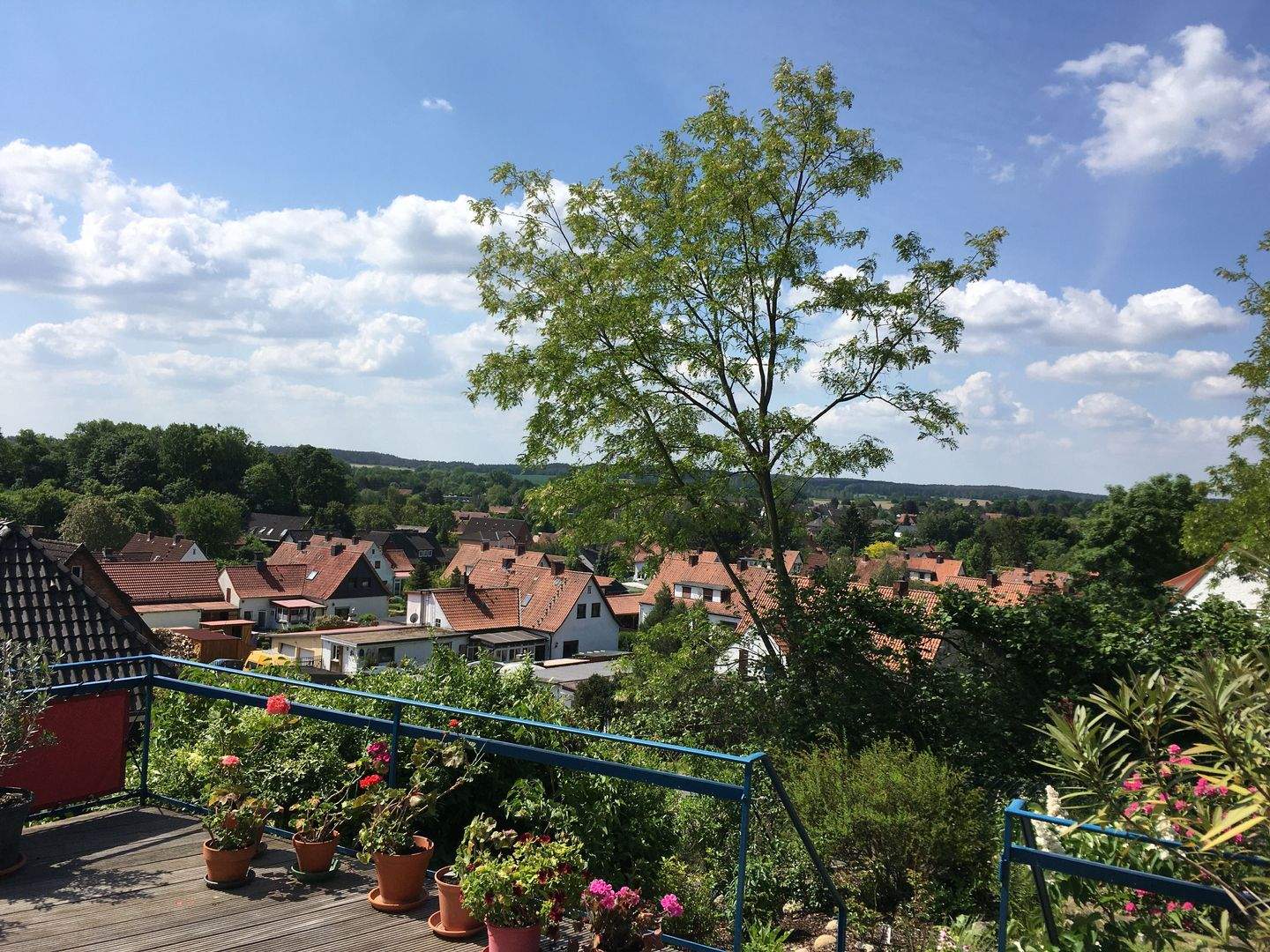 Immobilie in Hitzacker - Aufwendig modernisierte Immobilie, als Zinshaus oder zur Eigennutzung - Bild 3