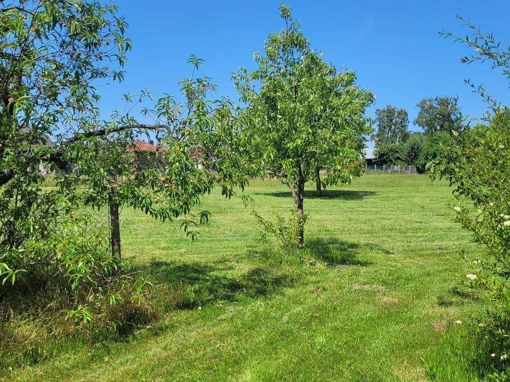 Immobilie in Brahlstorf - Platz für Ideen mit großem Grundstück in Brahlstorf :-) - Bild 2